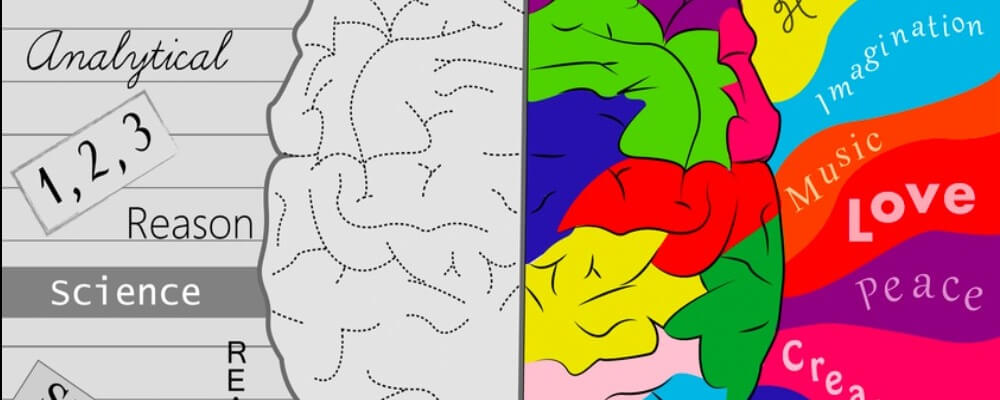 What Occurs Inside Your Brain When You Give Up Sugar